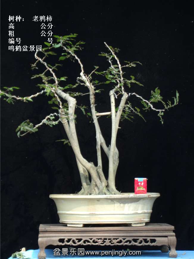 GEDC3959.jpg