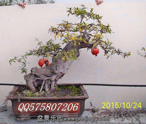 100_0165.jpg