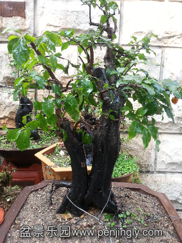 20151016_100335.jpg