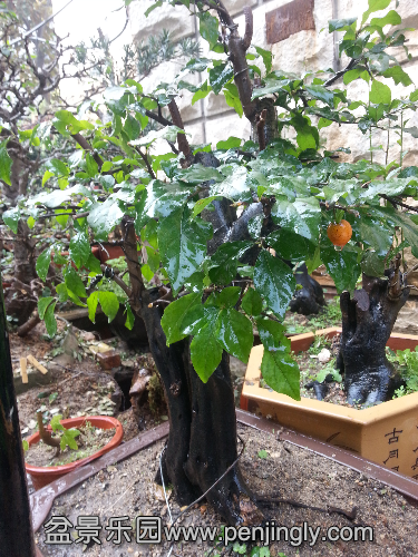 20151016_100329.jpg