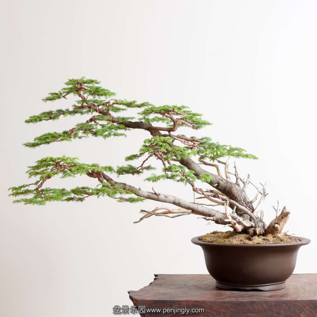 conew_14_0319_studio-080-2.jpg