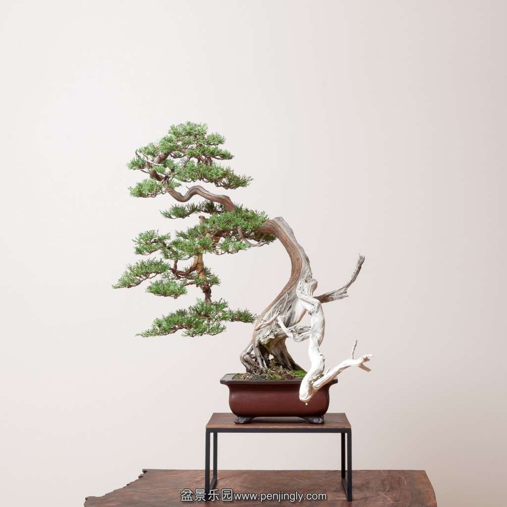 conew_14_0319_studio-558-2.jpg