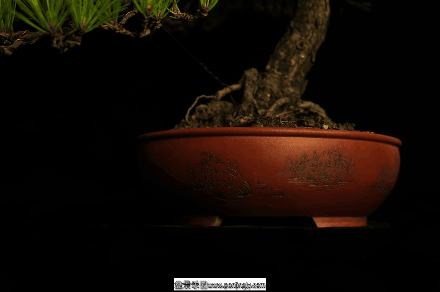 QQͼƬ20151027165136.png