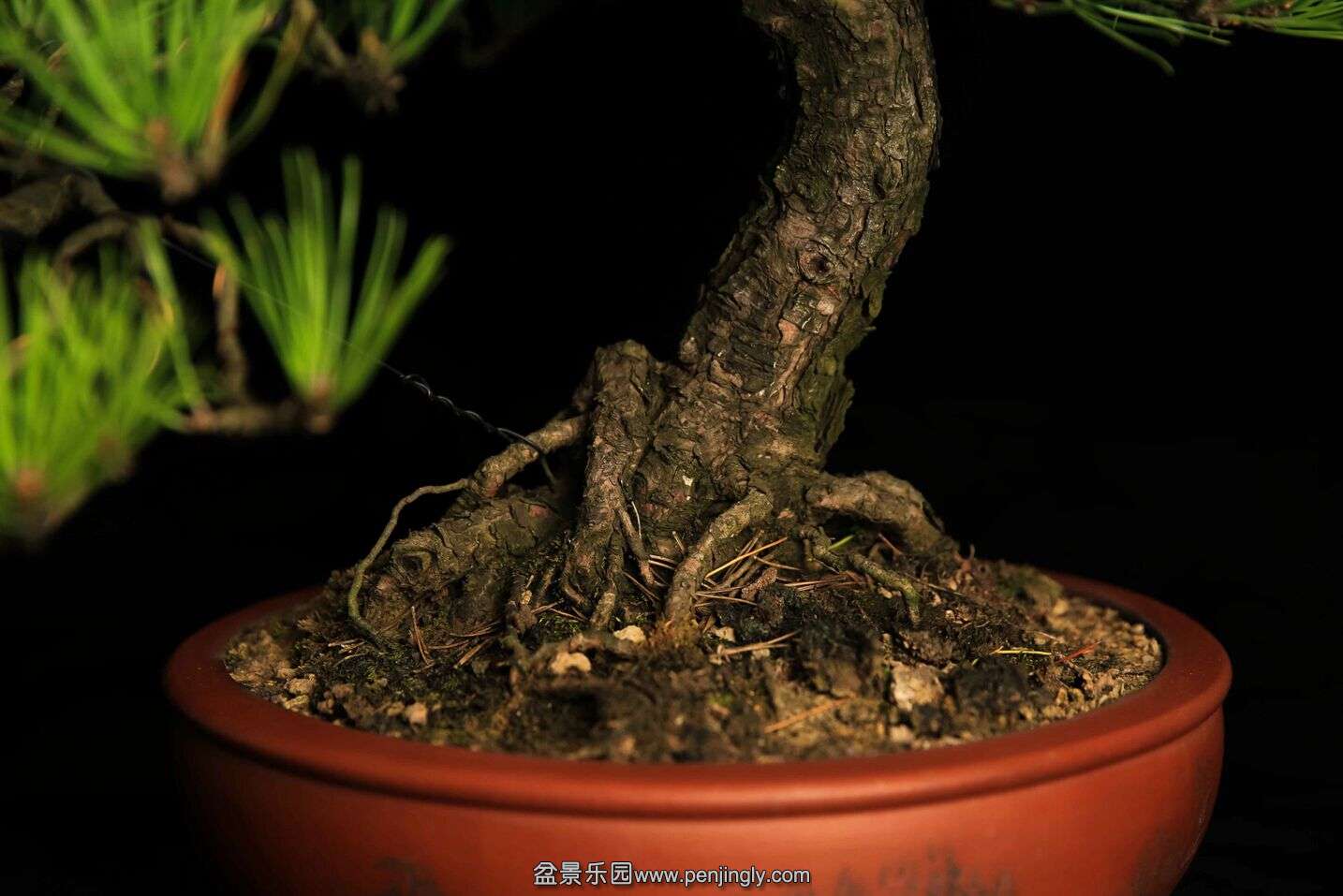 QQͼƬ20151027164743.jpg