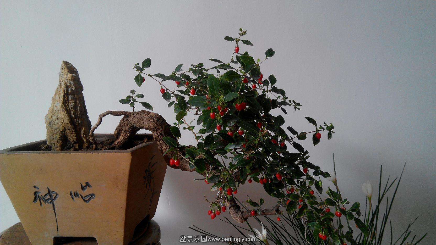 Ƭ 011.jpg