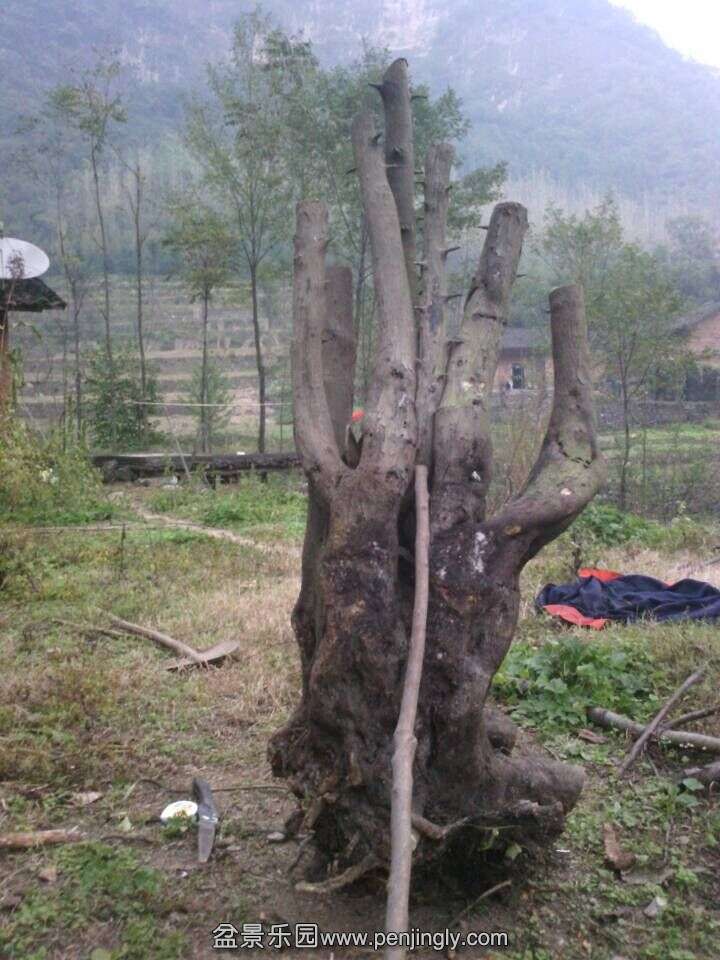 QQͼƬ20151105193147.jpg
