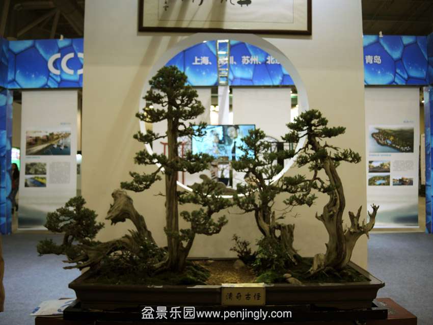 DSCN7455.jpg