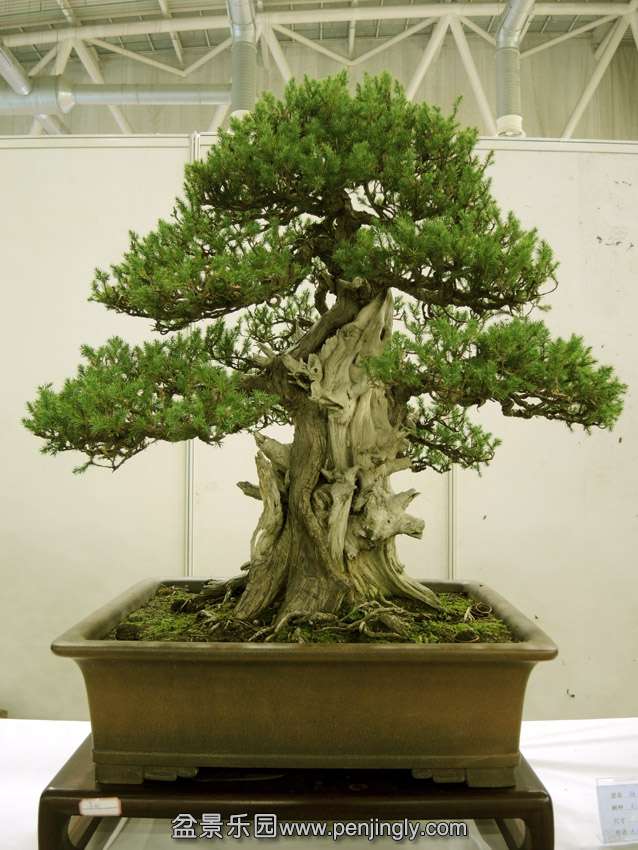 DSCN7471.jpg