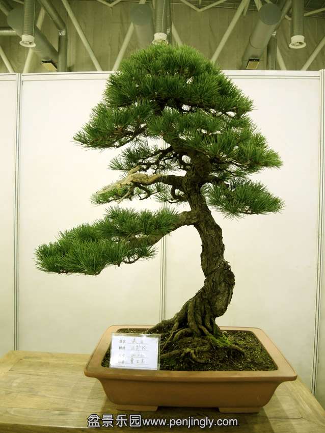 DSCN7505.jpg