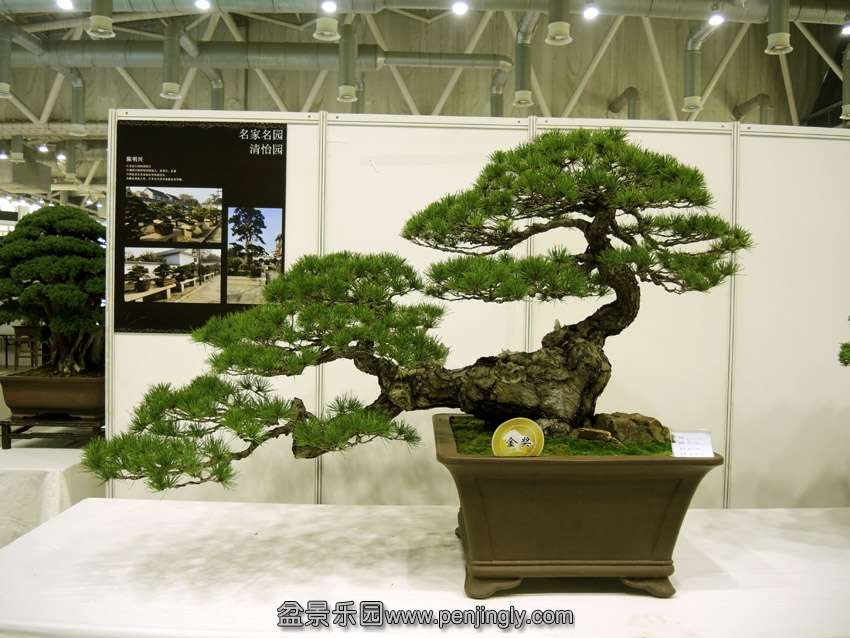 DSCN7508.jpg