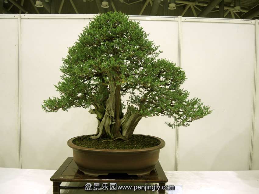 DSCN7549.jpg