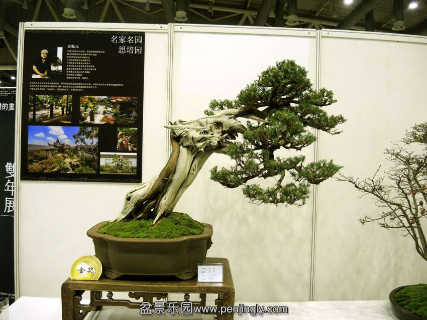 DSCN7553.jpg