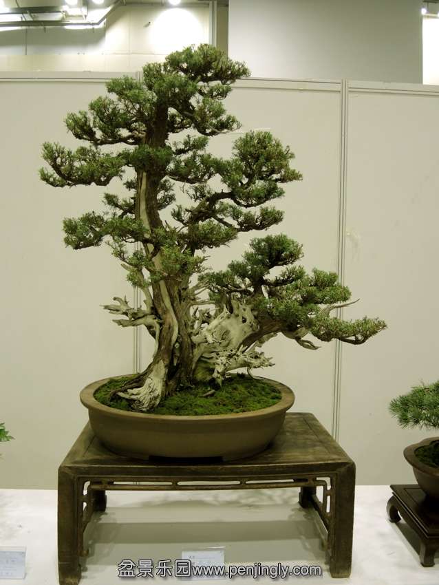 DSCN7577.jpg