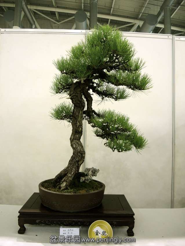 DSCN7630.jpg