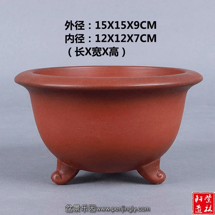 1.gif