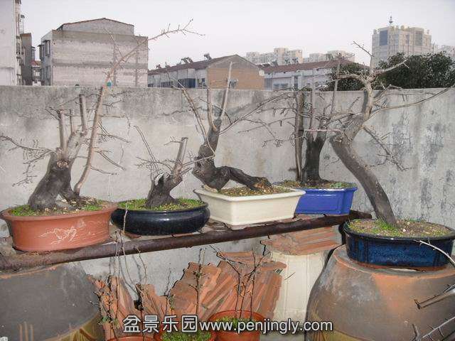 С SDC14101.JPG