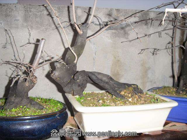 С SDC14099.JPG