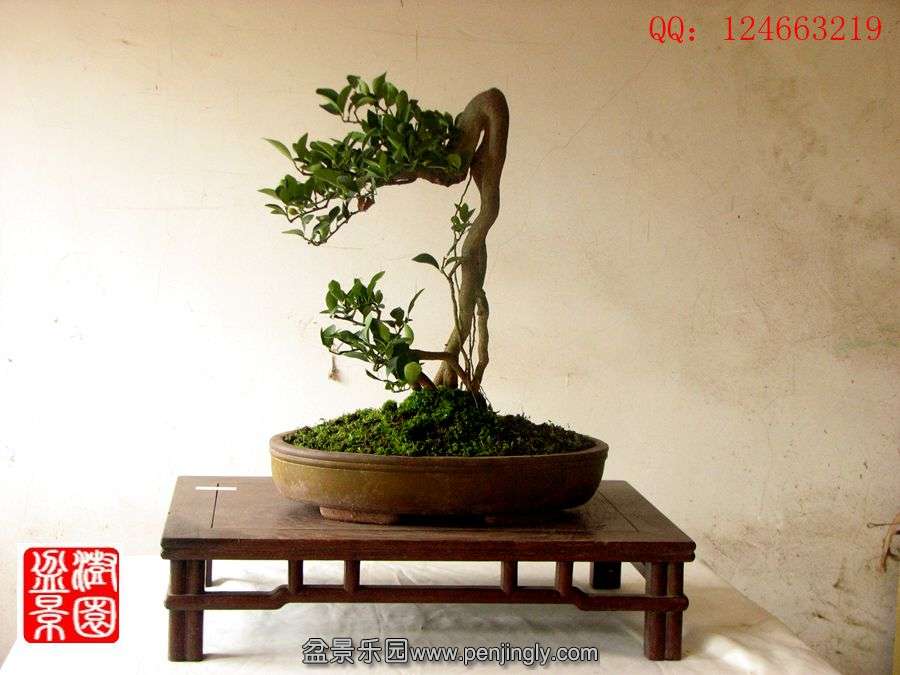 IMG_1830__.jpg