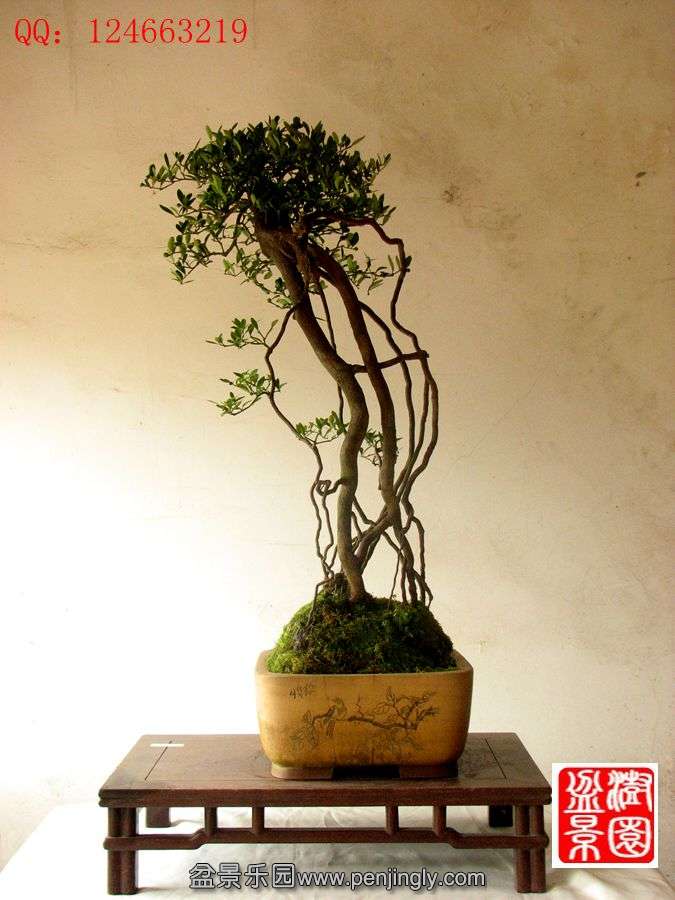 IMG_1840__.jpg