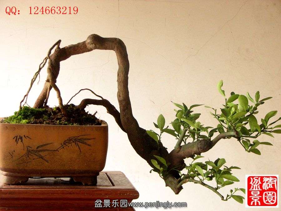 IMG_1844__.jpg