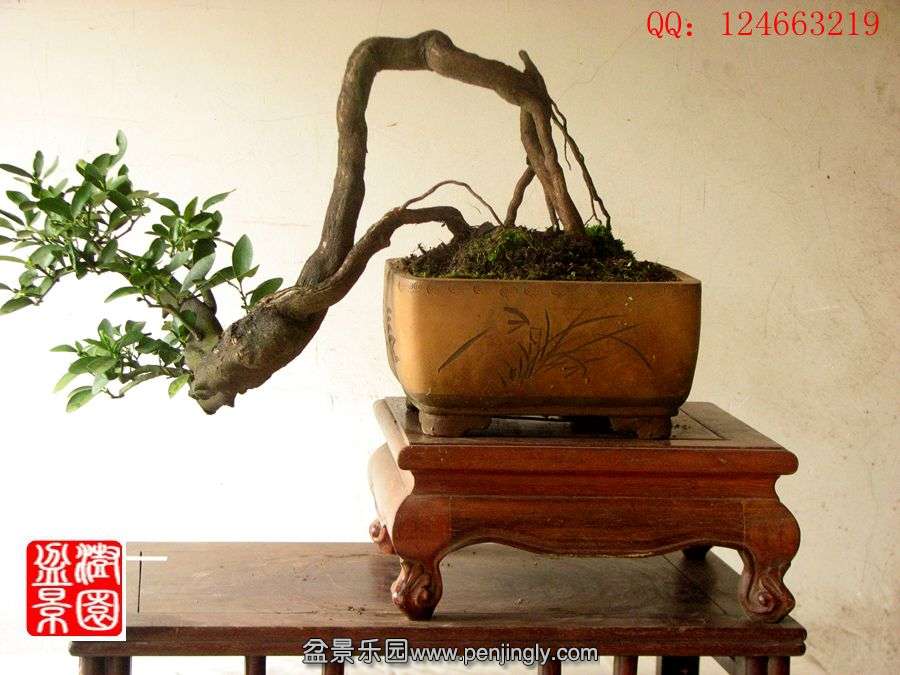 IMG_1846__.jpg