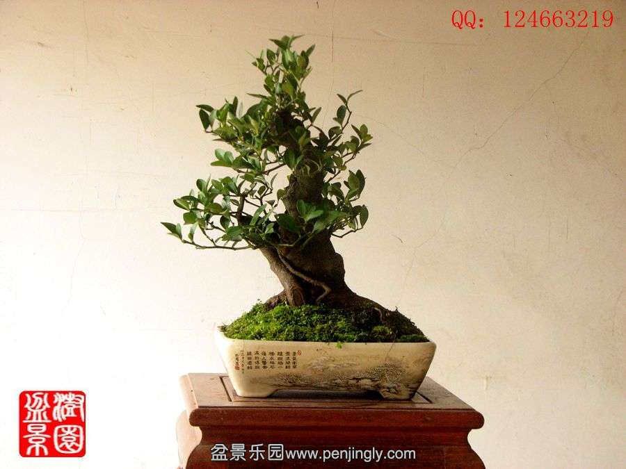 IMG_1848_副本_副本.jpg