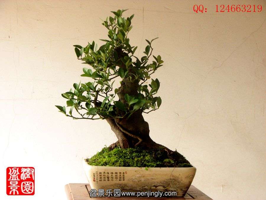 IMG_1849_副本.jpg