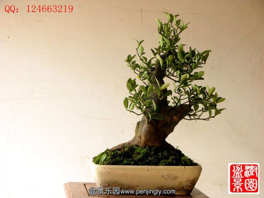 IMG_1851_副本.jpg