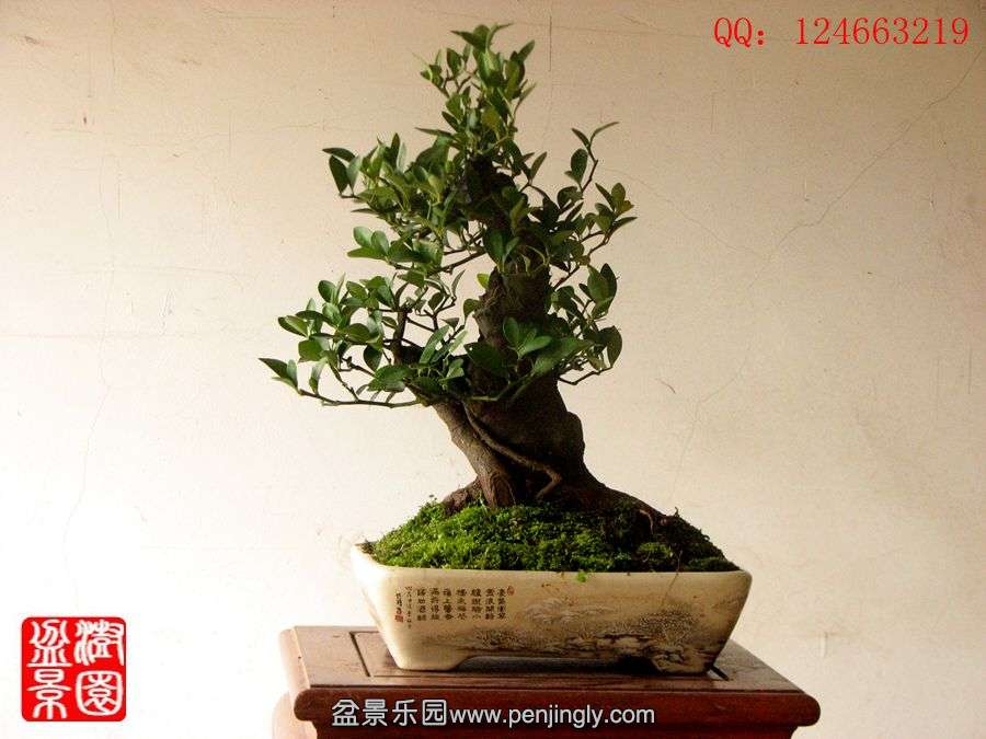 IMG_1853_副本.jpg