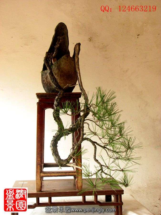 IMG_1854__.jpg