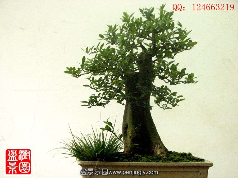 IMG_1902_.jpg