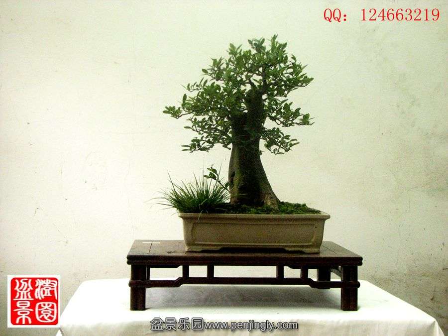 IMG_1903__.jpg