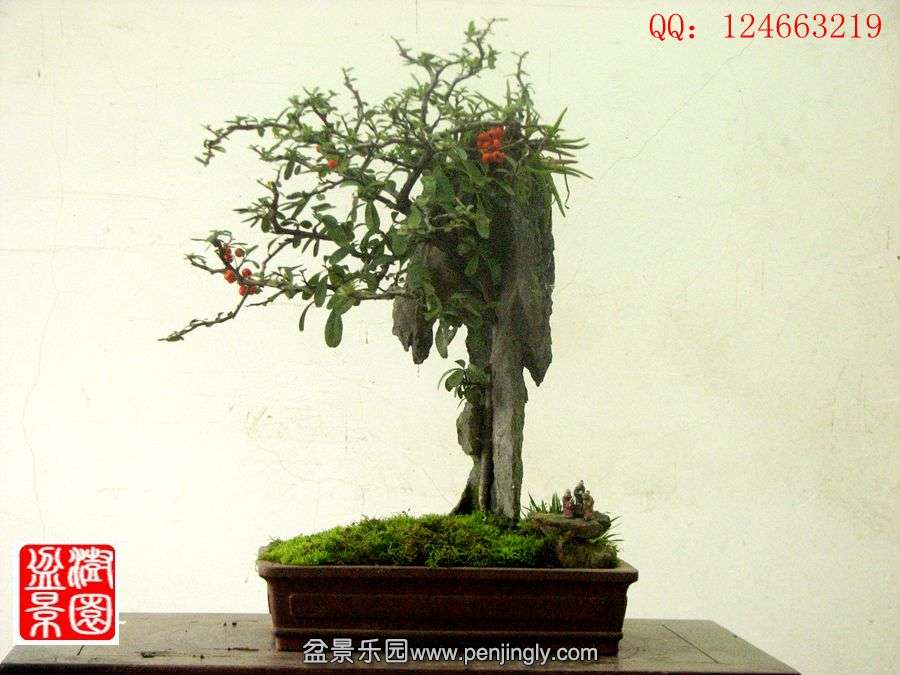 IMG_1905__.jpg