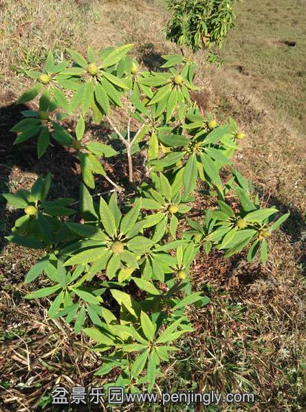 IMG_20151121_163836.jpg