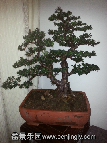 20151108_164436.jpg