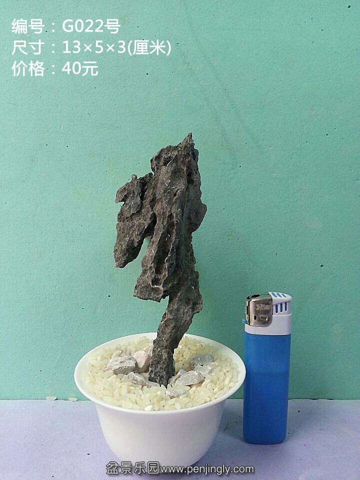 g022.jpg