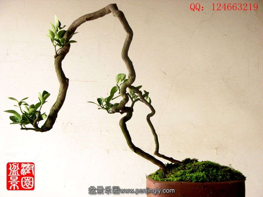 IMG_1982__.jpg
