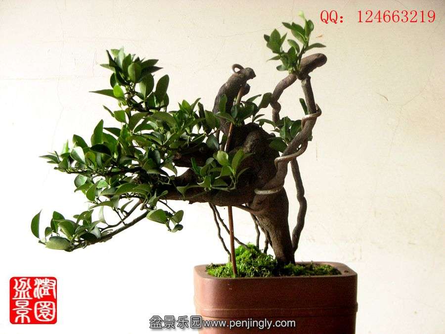 IMG_2000__.jpg
