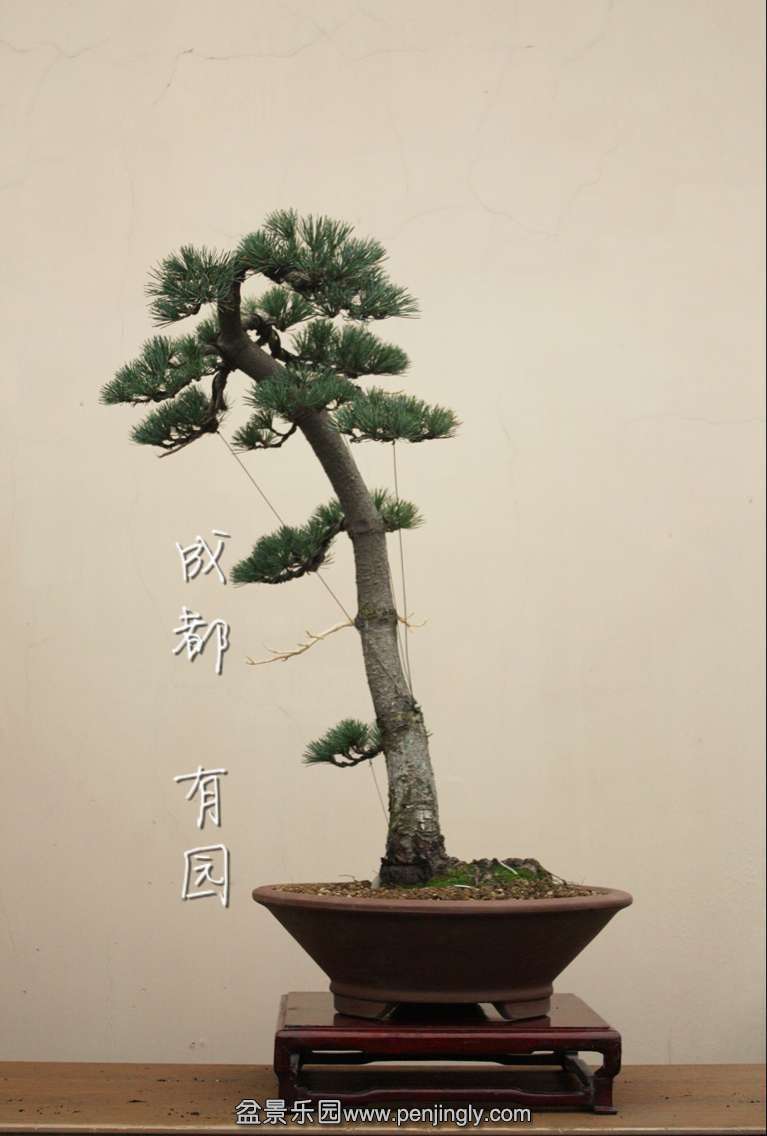 QQͼƬ20151127221450.jpg