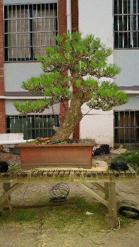 20150921_181211.jpg