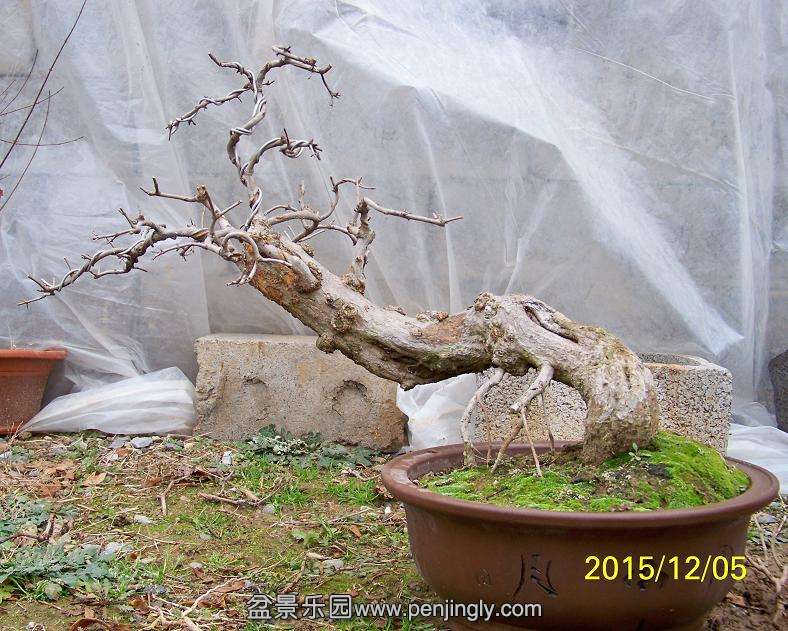 100_0187.jpg
