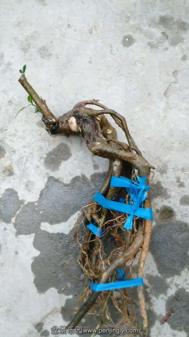 111.jpg