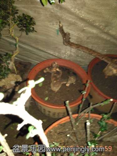 IMG_20151210_185952.jpg