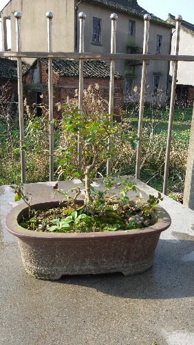 20151212_100321.jpg