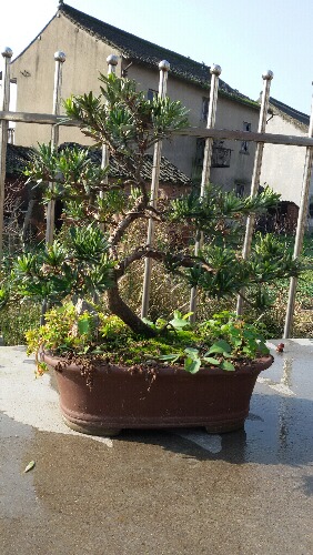 20151212_100127.jpg