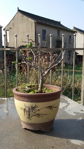 20151212_100239.jpg