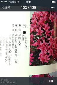 IMG_3919.PNG