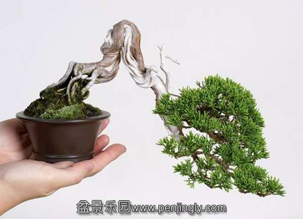 074135irhphkzn7r9xk3pf.jpg.thumb.jpg