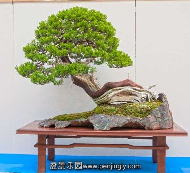 082139eggckc0nxa88ga4m.jpg.thumb.jpg