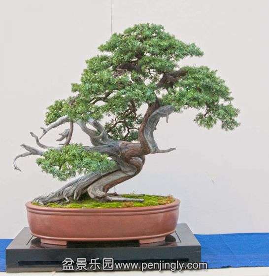 082201ertc0rr86g8zcz55.jpg.thumb.jpg